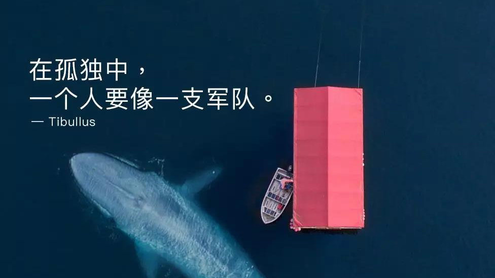 肖战壁纸图片高清:JDB电子(图8) JDB电子试玩网页版