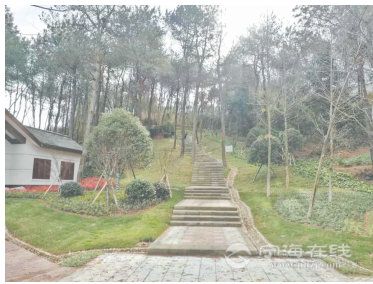 JDB电子试玩网页版