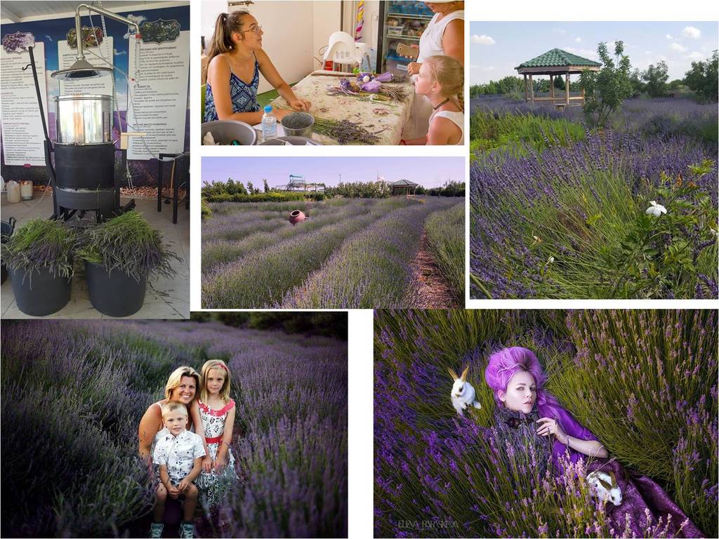 “JDB电子游戏官网”联合国特使:叙利亚对话比以往任何时候都更显紧迫(图1) JDB电子