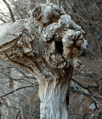 JDB电子游戏官网