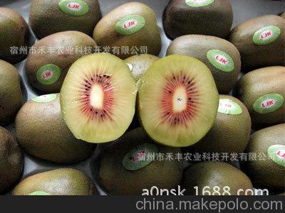 JDB电子游戏官网