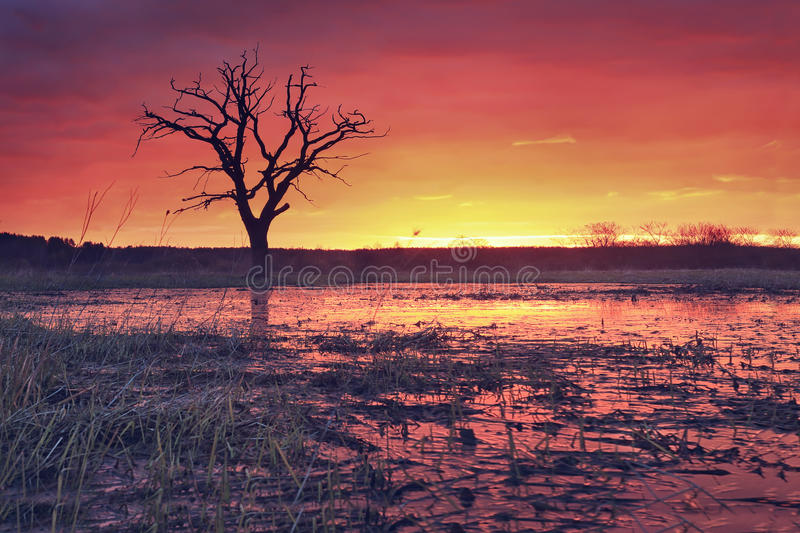 JDB电子试玩网页版