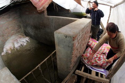 JDB电子游戏官网