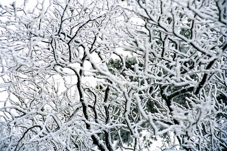 JDB电子试玩网页版