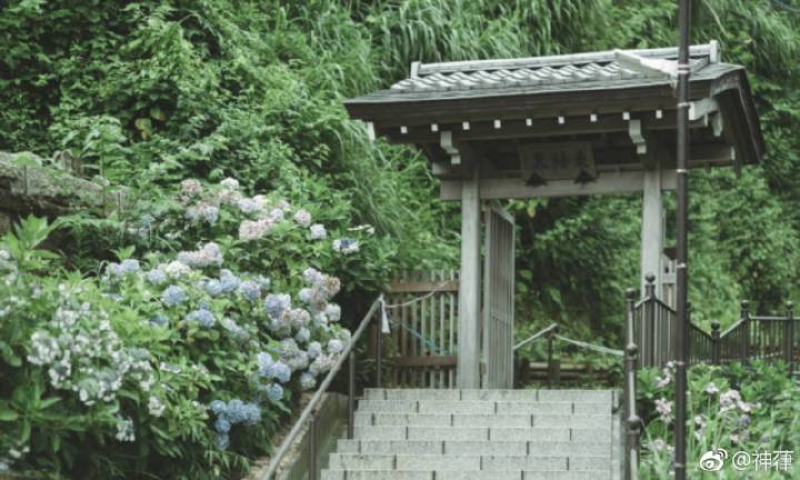 JDB电子试玩网页版