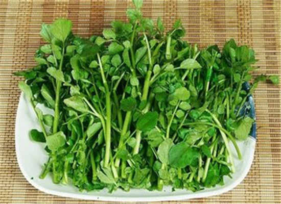 JDB电子试玩网页版