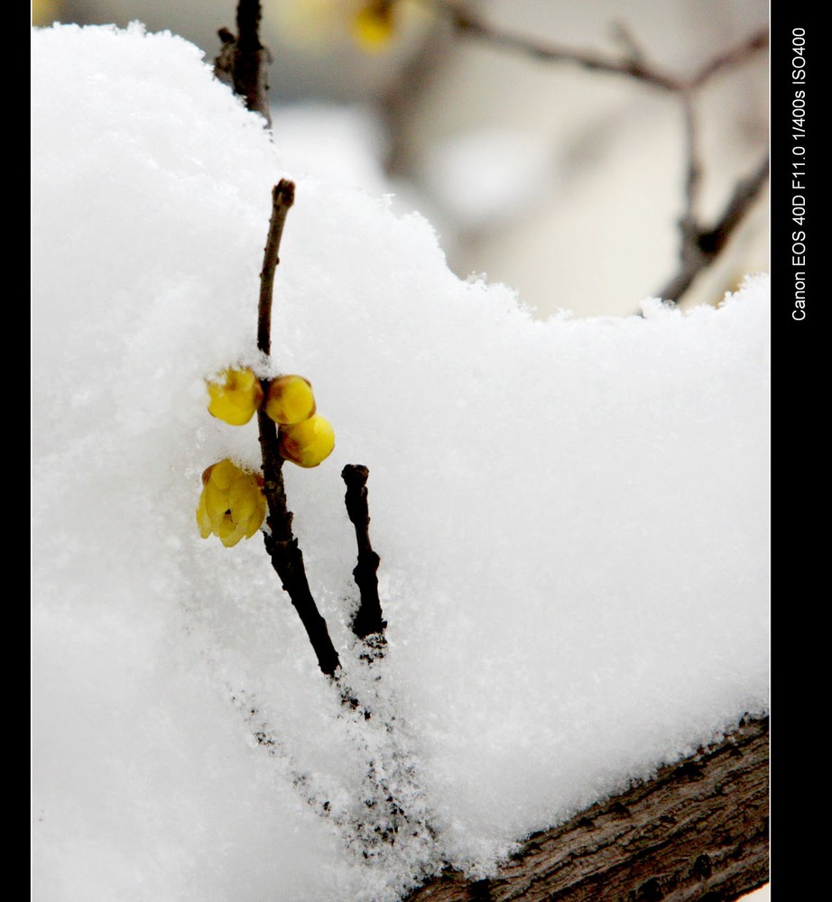 JDB电子游戏官网|军方回应侵权案:自取其辱(图1) JDB电子试玩网页版