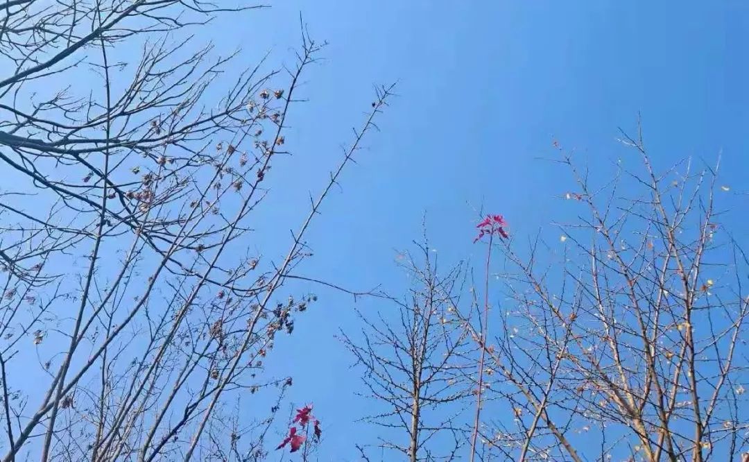 JDB电子试玩网页版-19个街角公园,快游起来~(图1) JDB电子试玩网页版