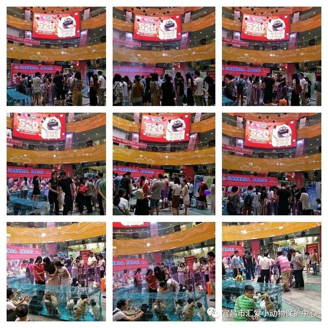 JDB电子游戏官网:用大数据看牢“救命钱”(图1) JDB电子游戏官网