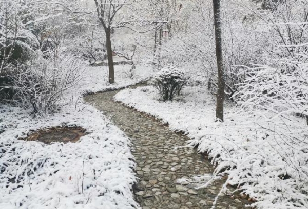 JDB电子游戏官网