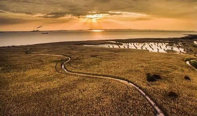 JDB电子游戏官网