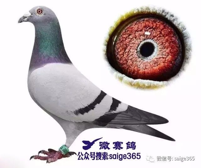 女大学生工资160元 律师:企业需举证扣发工资依据【JDB电子游戏官网】(图3) JDB电子游戏官网