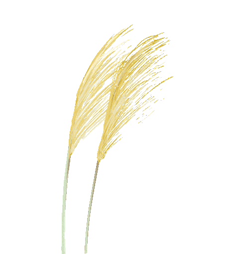 JDB电子试玩网页版_
（草稿：迟点发 还没改好）（记得删括号）(图8)