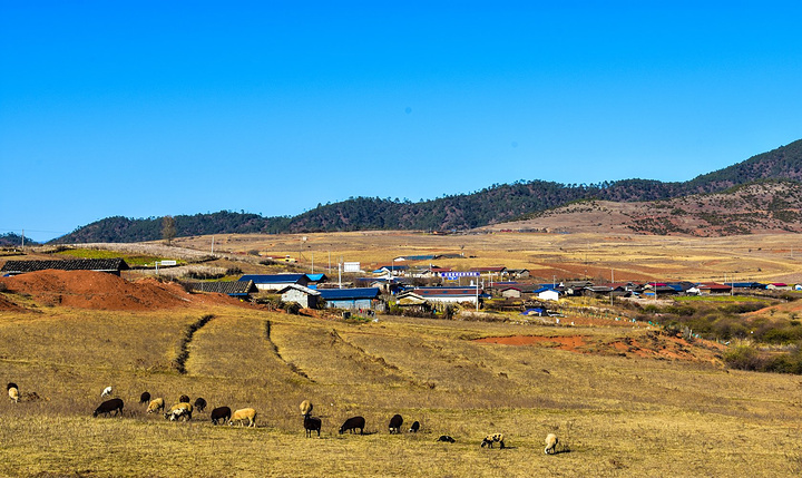 JDB电子游戏官网
