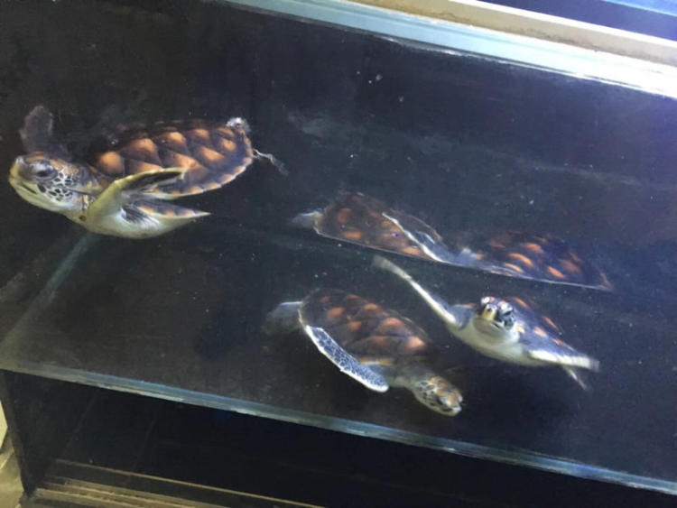 【JDB电子游戏官网】潘基文月度记者会关注伊拉克、加沙冲突局势和埃博拉病毒疫情(图4) JDB电子