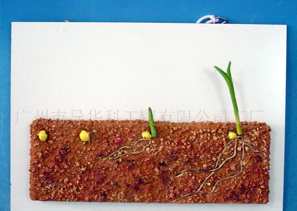 JDB电子游戏官网